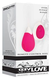 Remote Control Egg